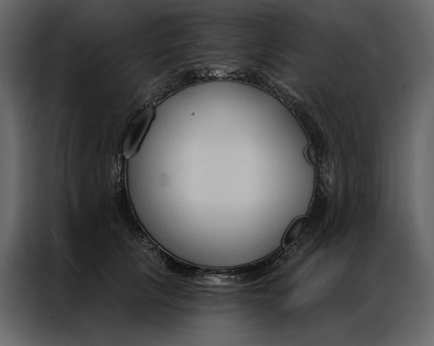 X0000086900657200705071244