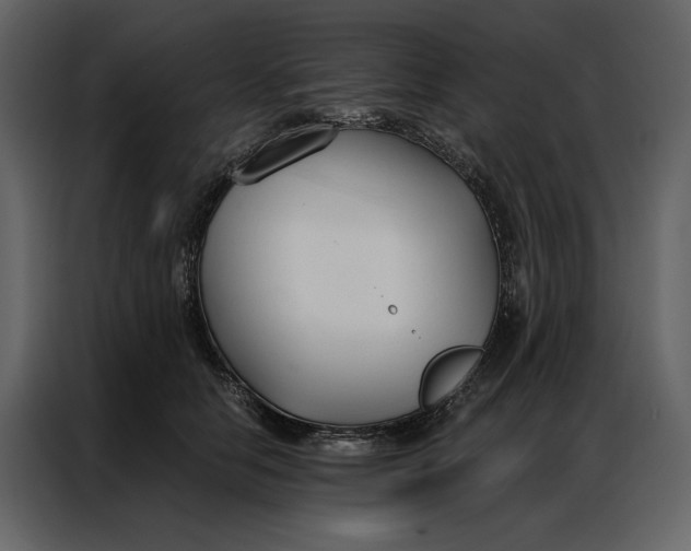 X0000086900658200705071244