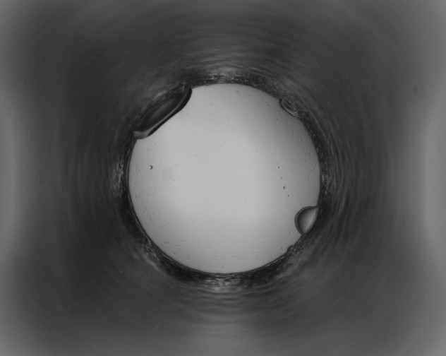 X0000086900660200705071244