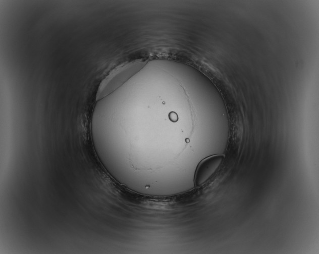 X0000086900661200705071244