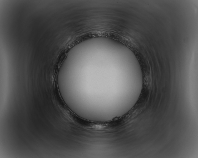 X0000086900662200705071244