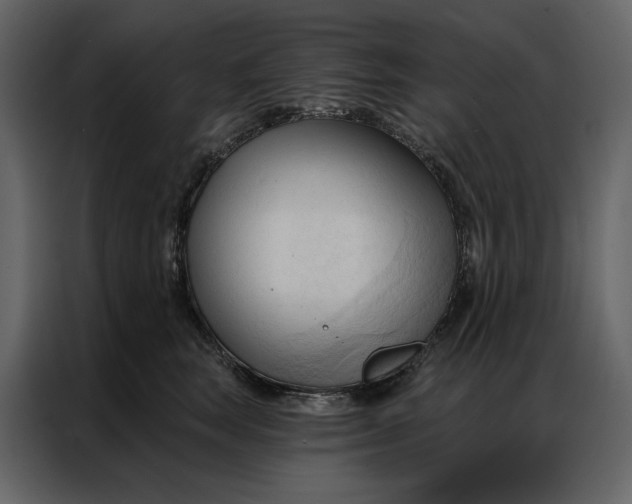 X0000086900663200705071244