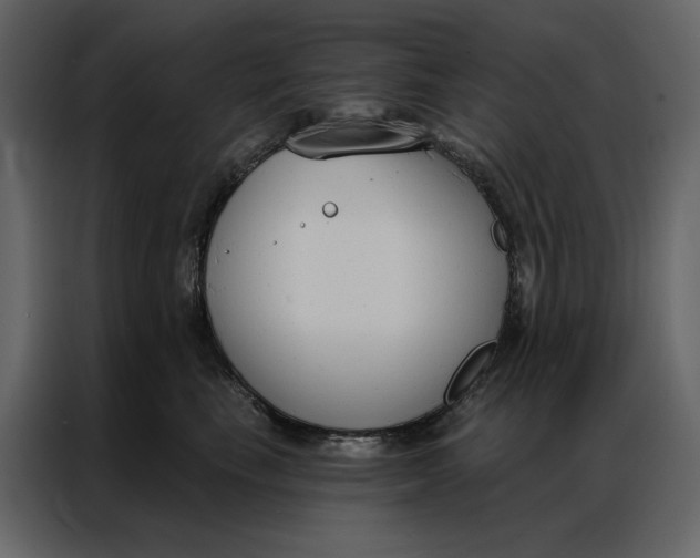 X0000086900665200705071244