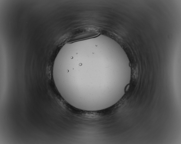 X0000086900666200705071244