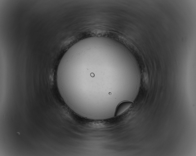 X0000086900668200705071245