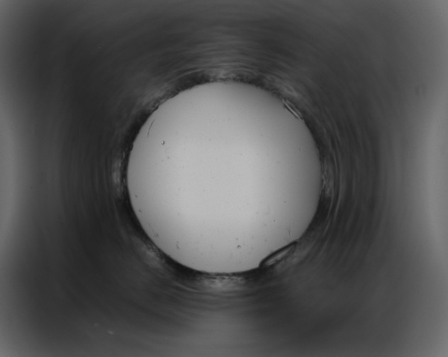 X0000086900670200705071245