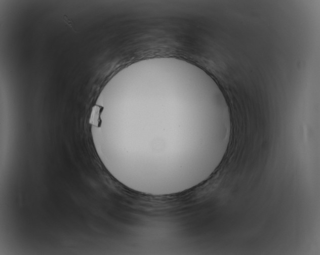 X0000086900672200705071245