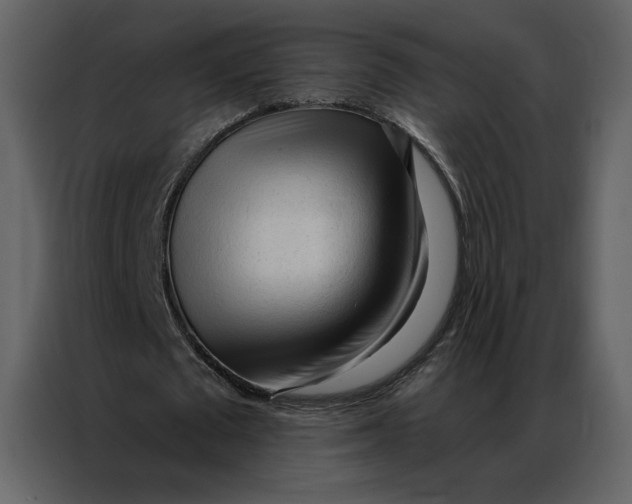 X0000086900673200705071244