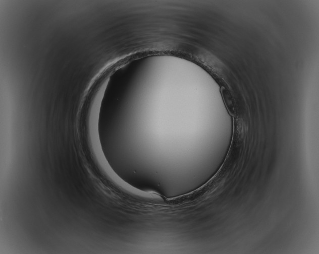 X0000086900676200705071244