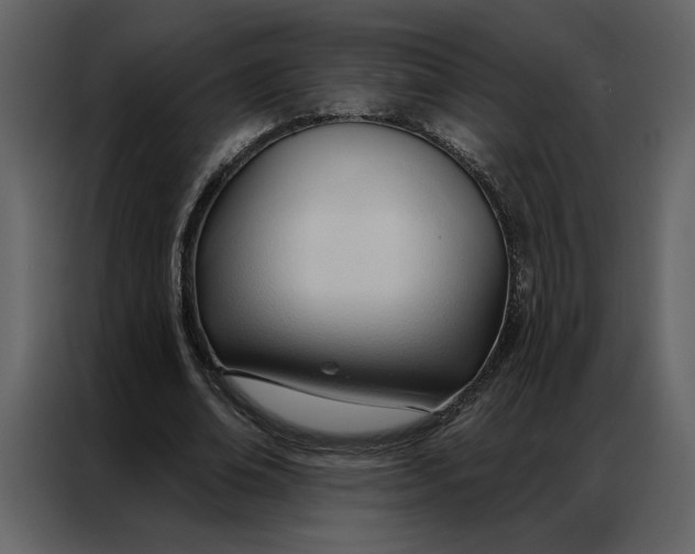 X0000086900678200705071244