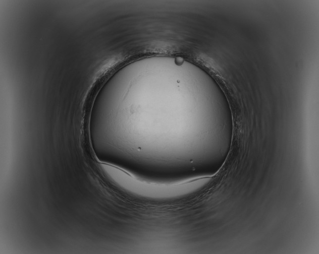 X0000086900679200705071244