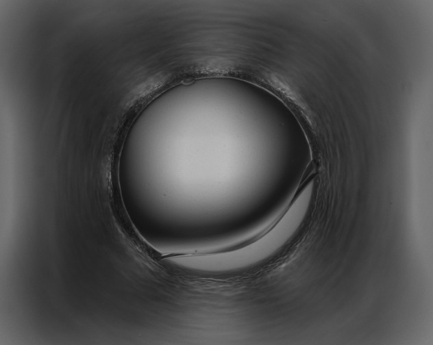 X0000086900681200705071244