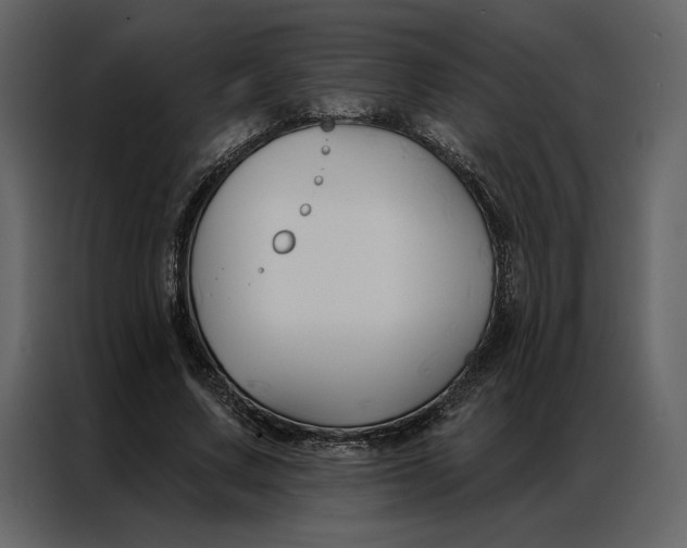 X0000086900683200705071244