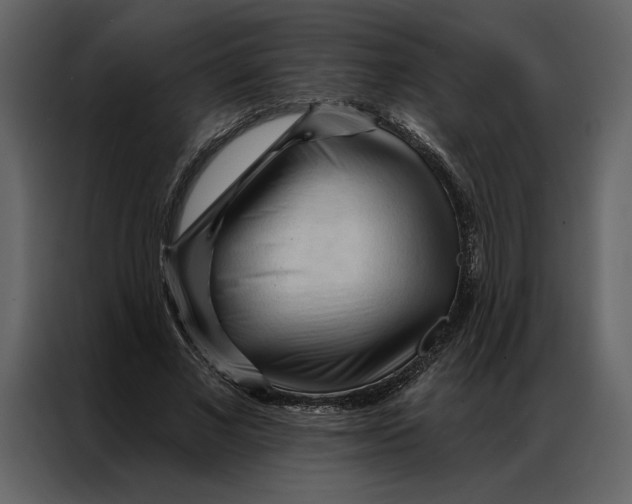 X0000086900685200705071244