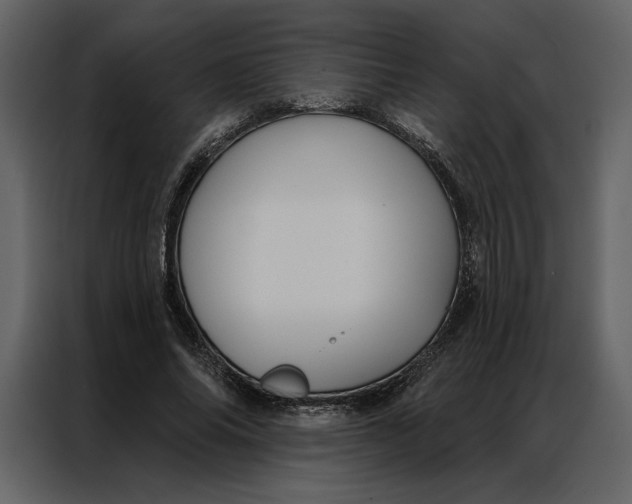 X0000086900686200705071244