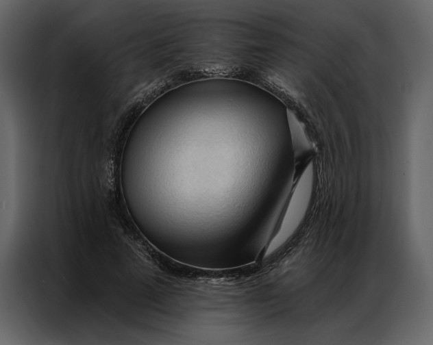 X0000086900689200705071244