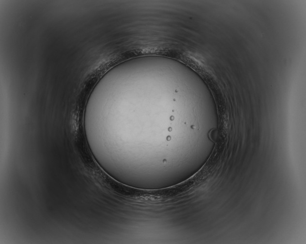 X0000086900691200705071244