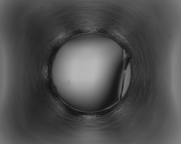 X0000086900693200705071244