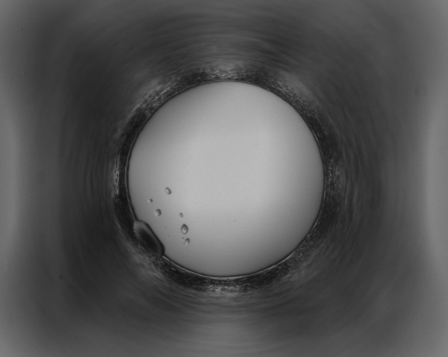 X0000086900694200705071244