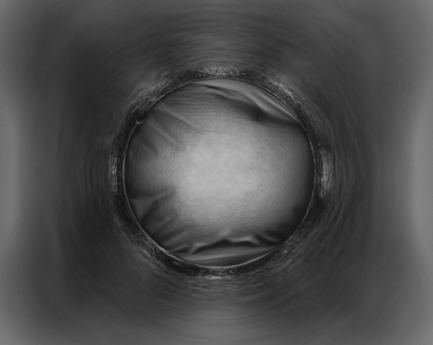 X0000086900696200705071244