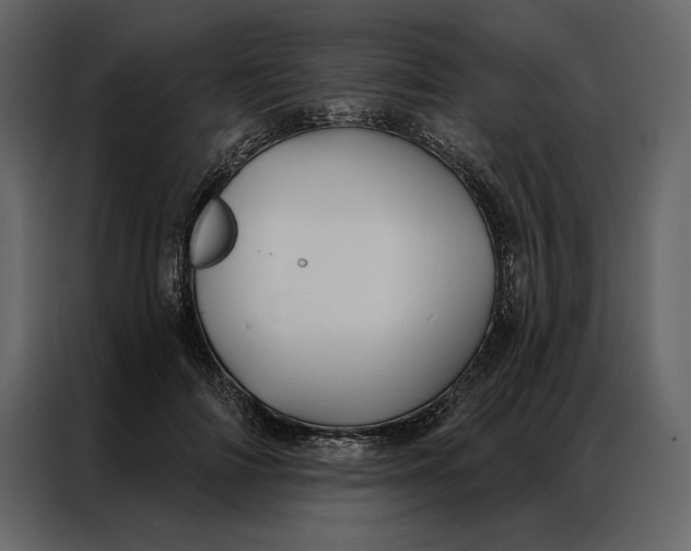 X0000086900698200705071244