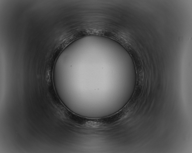 X0000086900699200705071244