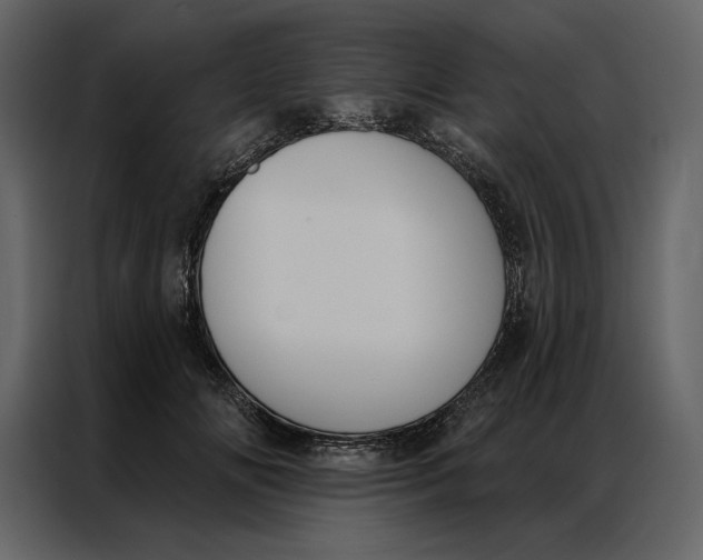 X0000086900702200705071244