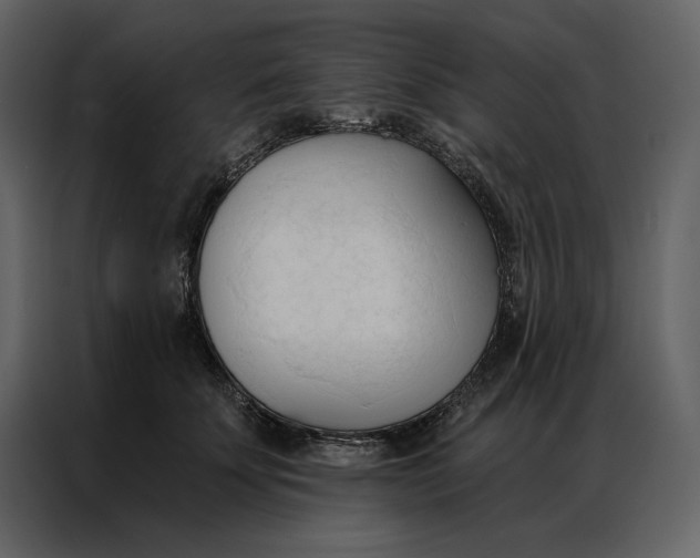 X0000086900707200705071243