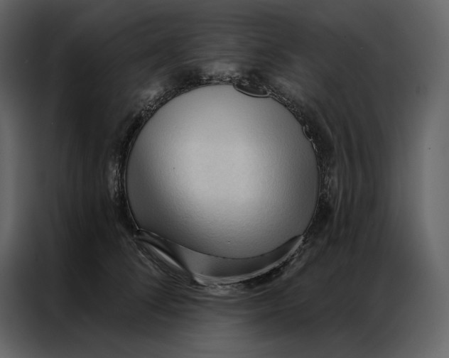 X0000086900708200705071243