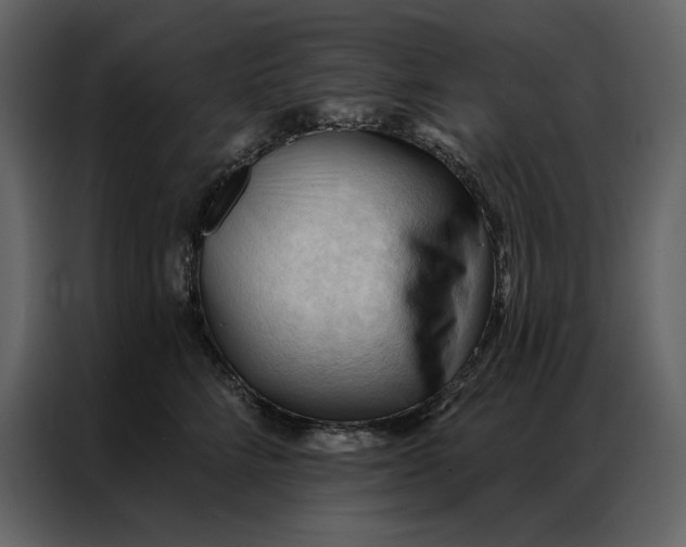 X0000086900712200705071243