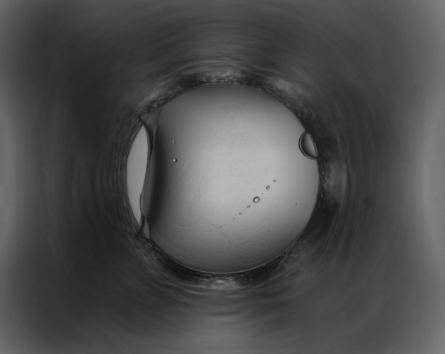 X0000086900715200705071243