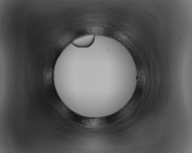 X0000086900717200705071243