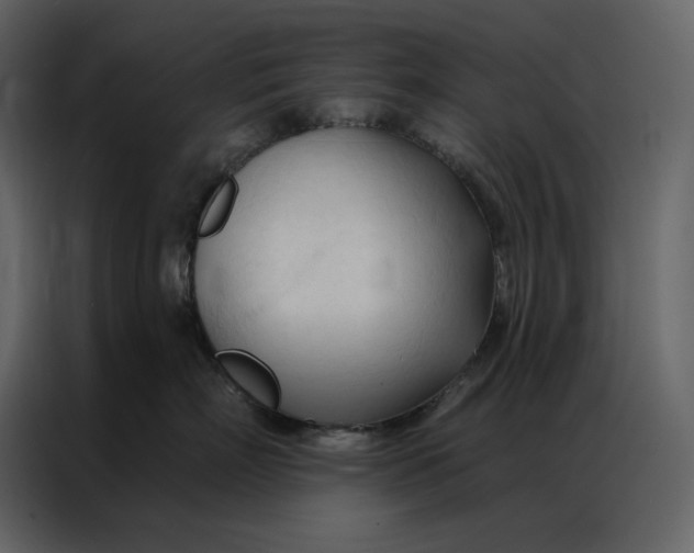 X0000086900718200705071243