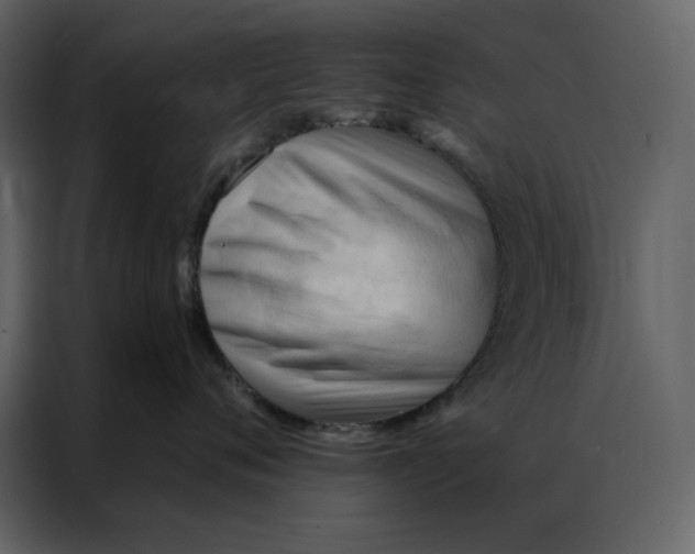 X0000086900720200705071243