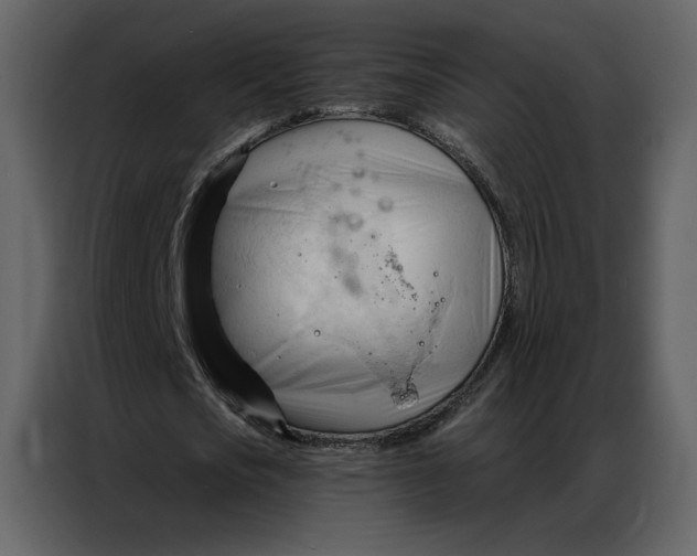 X0000086900721200705071243