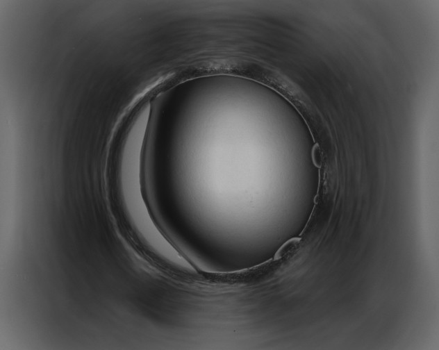 X0000086900722200705071243