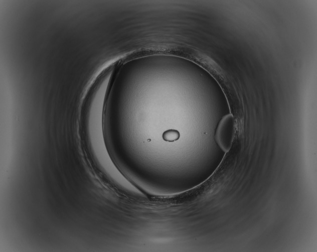 X0000086900724200705071243