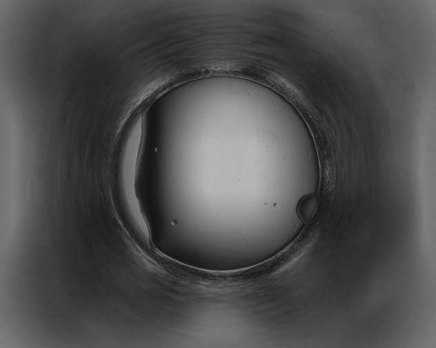 X0000086900725200705071243