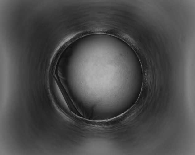 X0000086900726200705071243