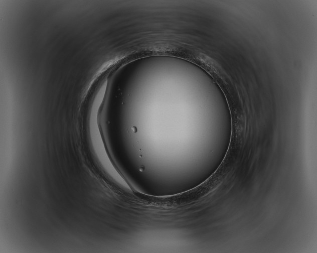 X0000086900727200705071243