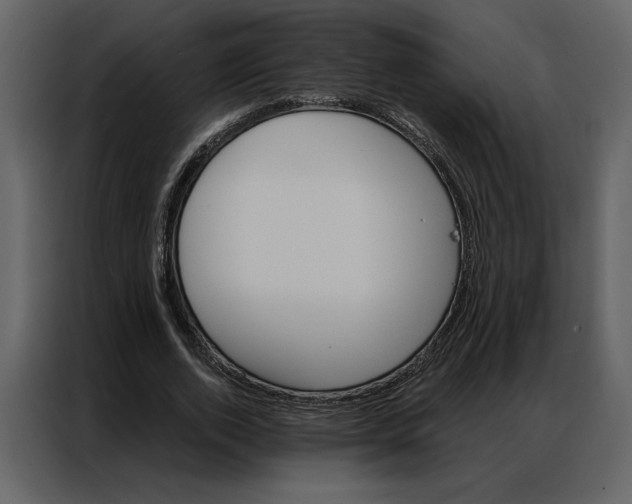 X0000086900728200705071243