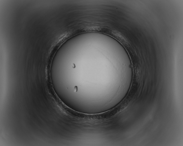 X0000086900729200705071243