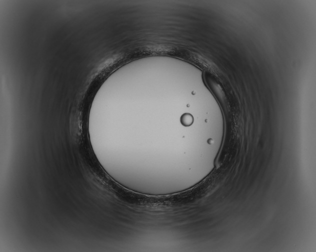 X0000086900731200705071243