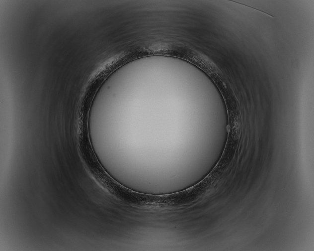 X0000086900732200705071243