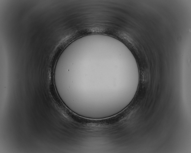 X0000086900733200705071243