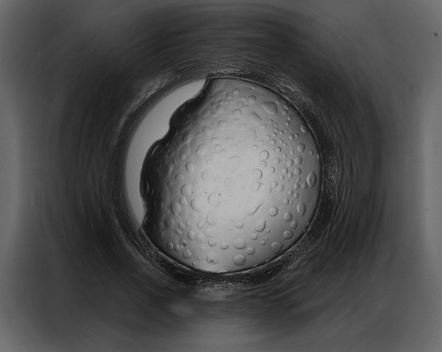 X0000086900734200705071243