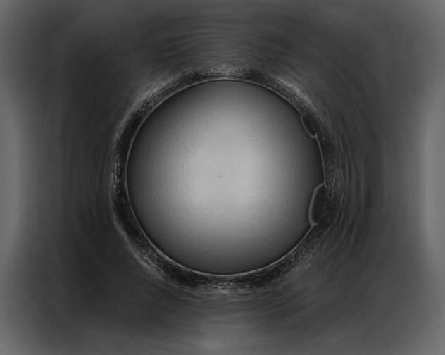 X0000086900736200705071243