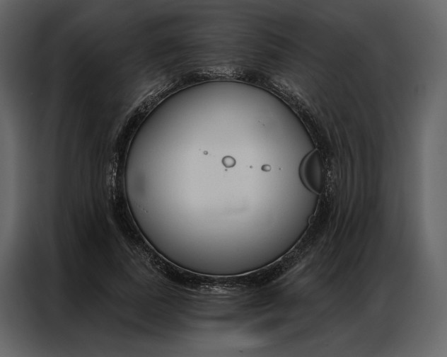 X0000086900739200705071243