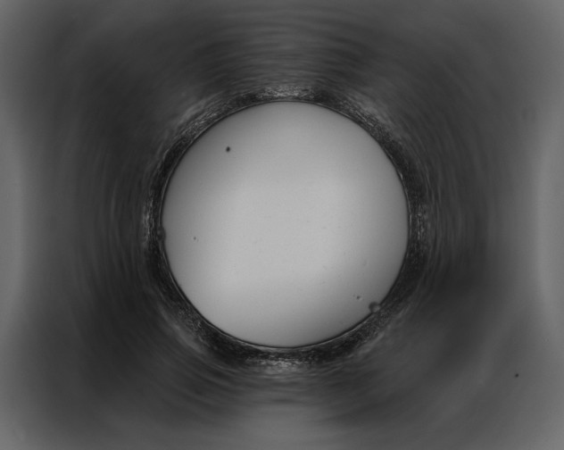 X0000086900741200705071243