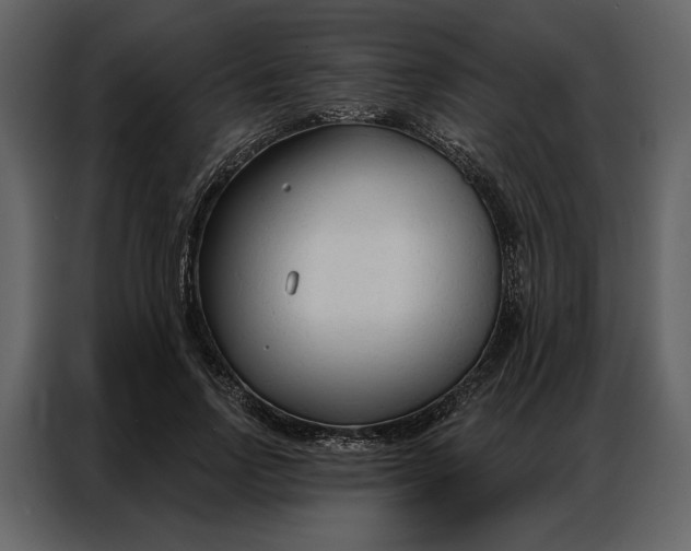 X0000086900742200705071243